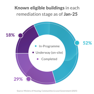Higher-risk buildings in the Government’s remediation plan - as of January 2025